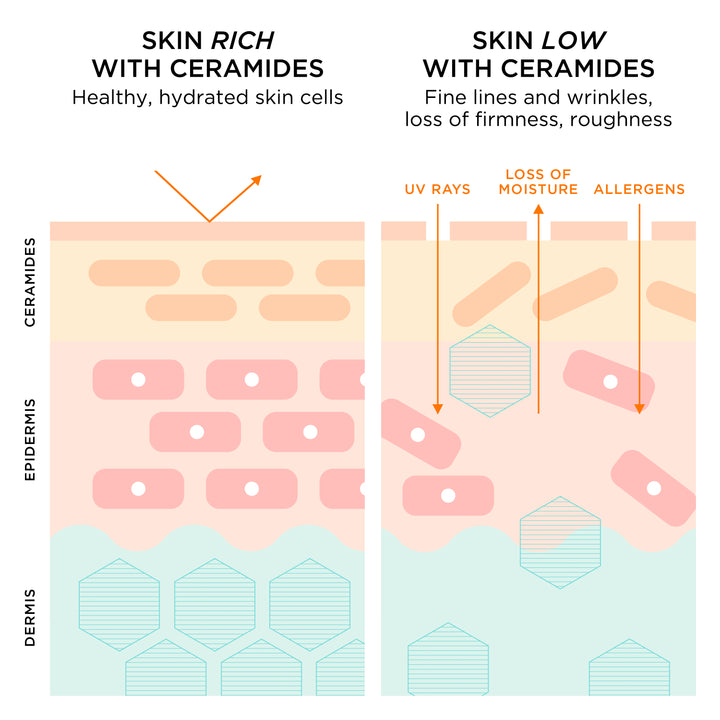 Advanced Ceramide Capsules Daily Youth Restoring Serum