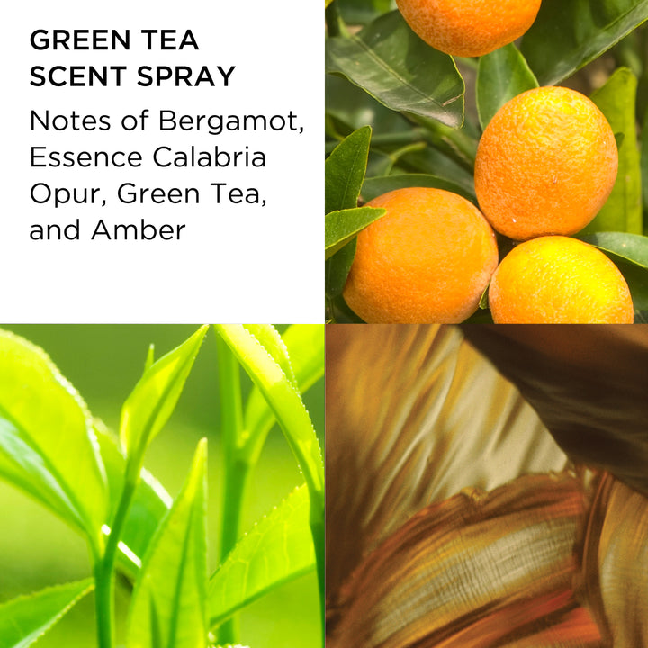 Green Tea Scent Spray 100ml 2-piece Gift Set