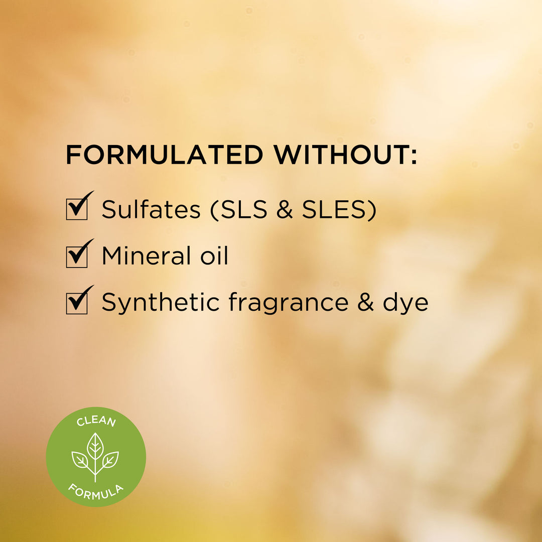 White Tea Skin Solutions Fortifying Bi-Phase Oil Serum