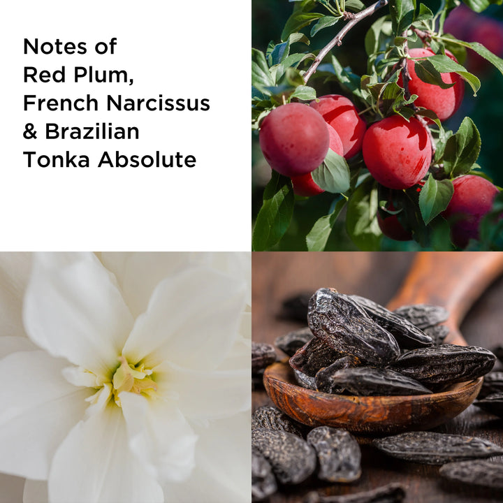 Untold Absolu EDP 100ml