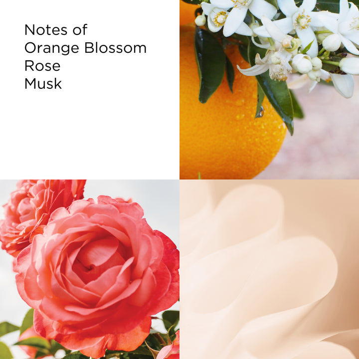 Collage of orange, flowers, and a blurred background with text 'Notes of Orange Blossom Rose Musk'.