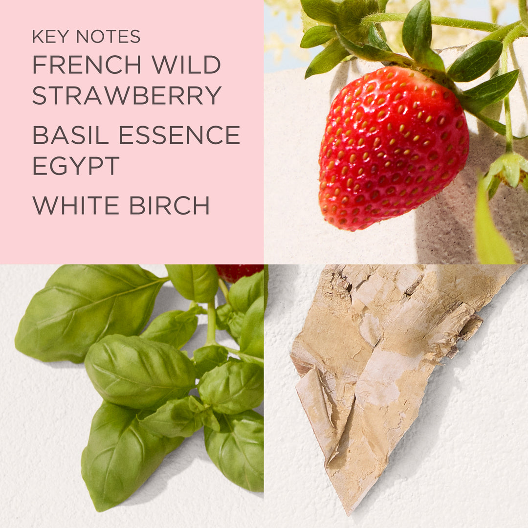 Green Tea Strawberry Basil Eau de Toilette