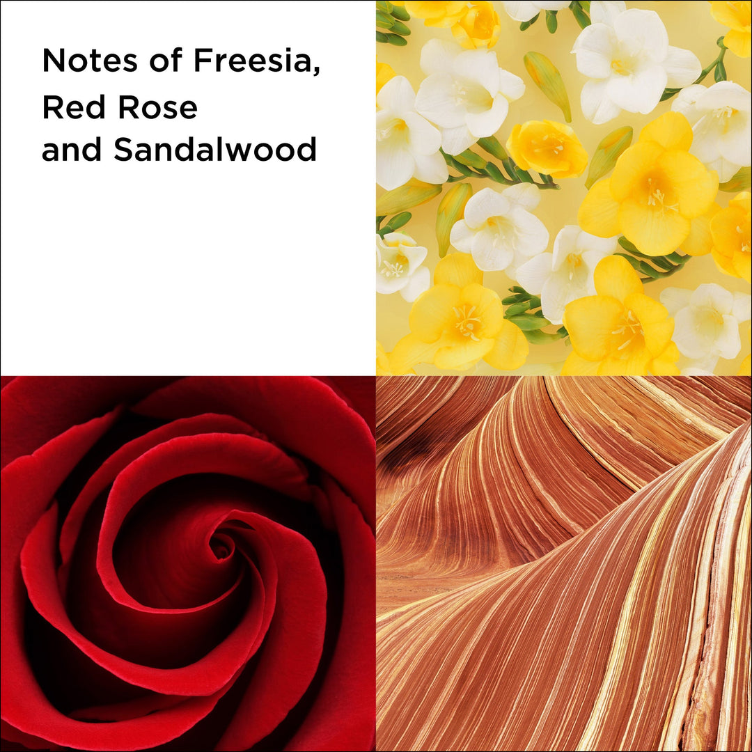 Red Door Eau de Toilette Spray