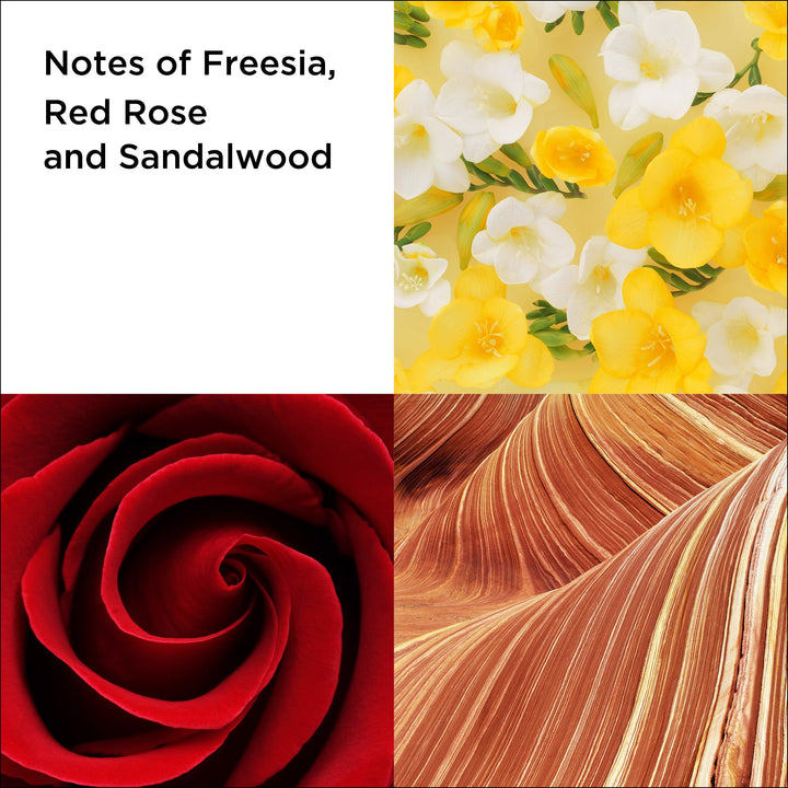 Red Door Eau de Toilette Spray