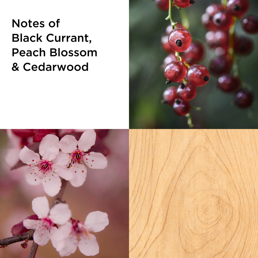 Always Red Femme EDT 100ml