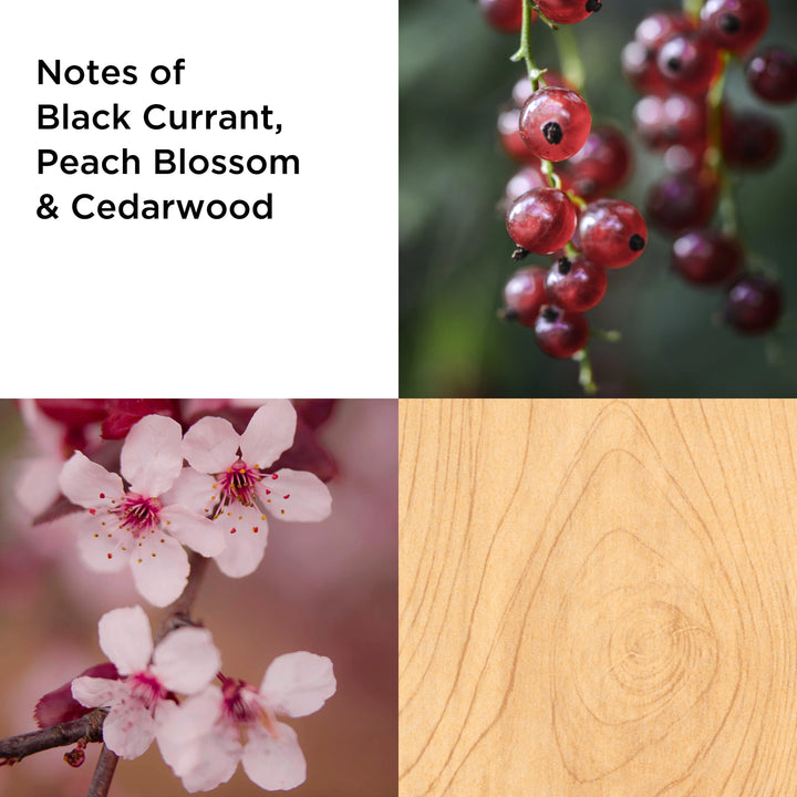 Always Red Femme EDT 100ml