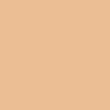 Swatch Color: 200N - Light, Neutral Peach Tone