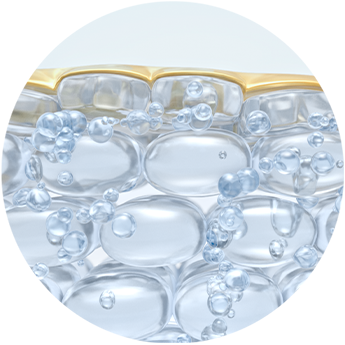 Zero H2O Technology™ Delivers hyaluronic acid more efficiently into skin’s surface layer because it is 500X smaller than traditional HA** and travels 4X deeper, *** instantly plumping skin.